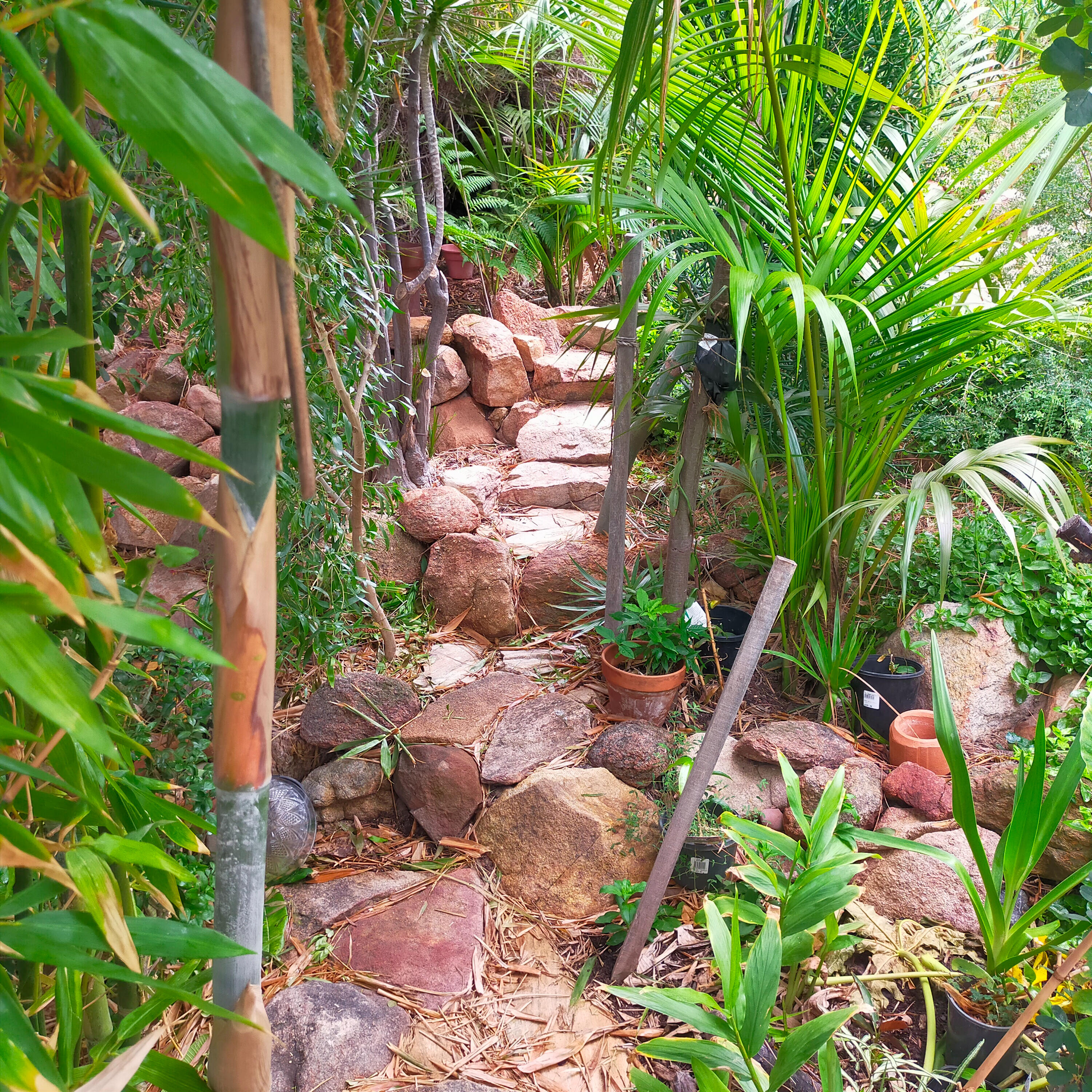 Path to the sauna Winding stone path