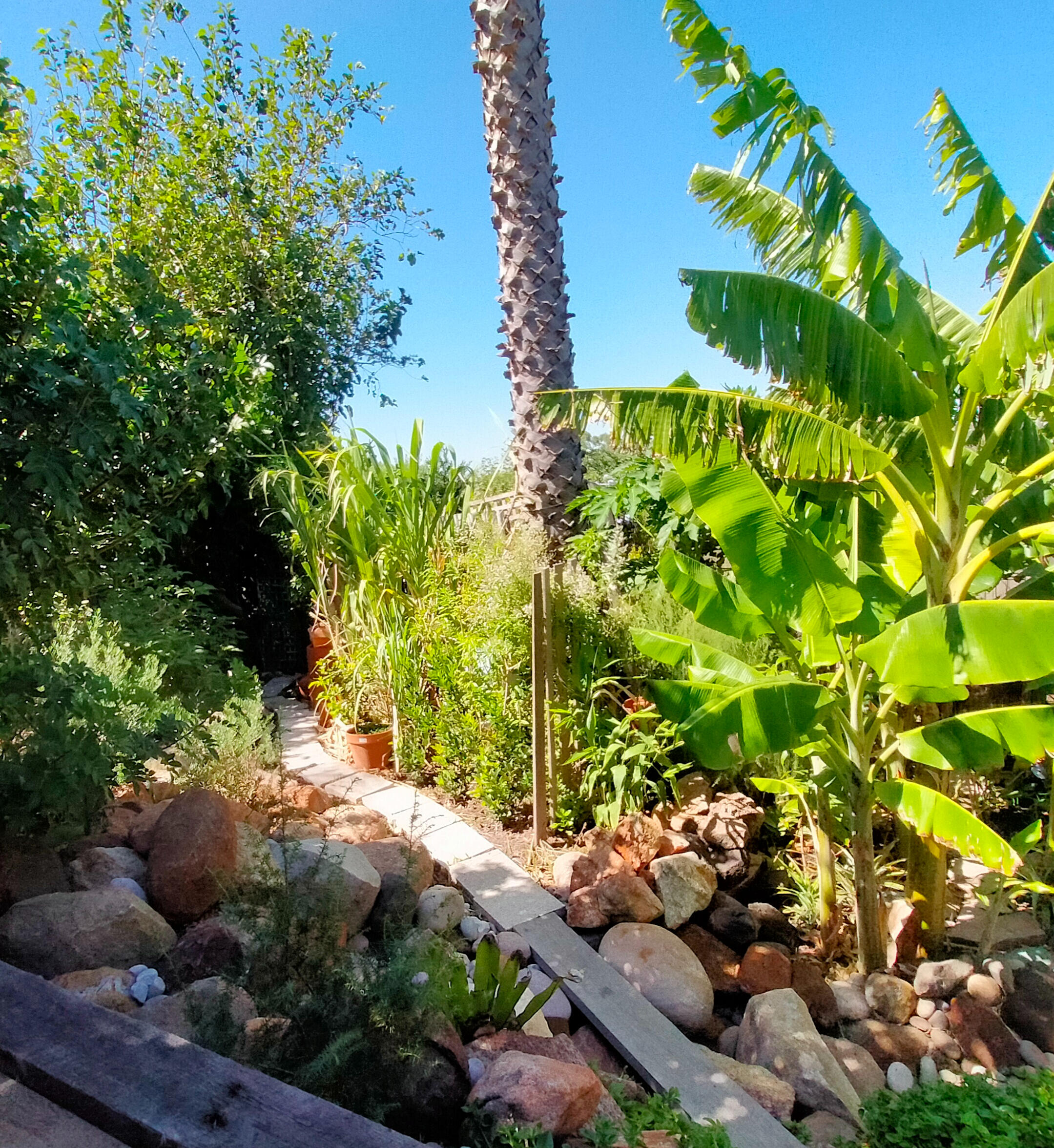 Path to the sauna Winding stone path