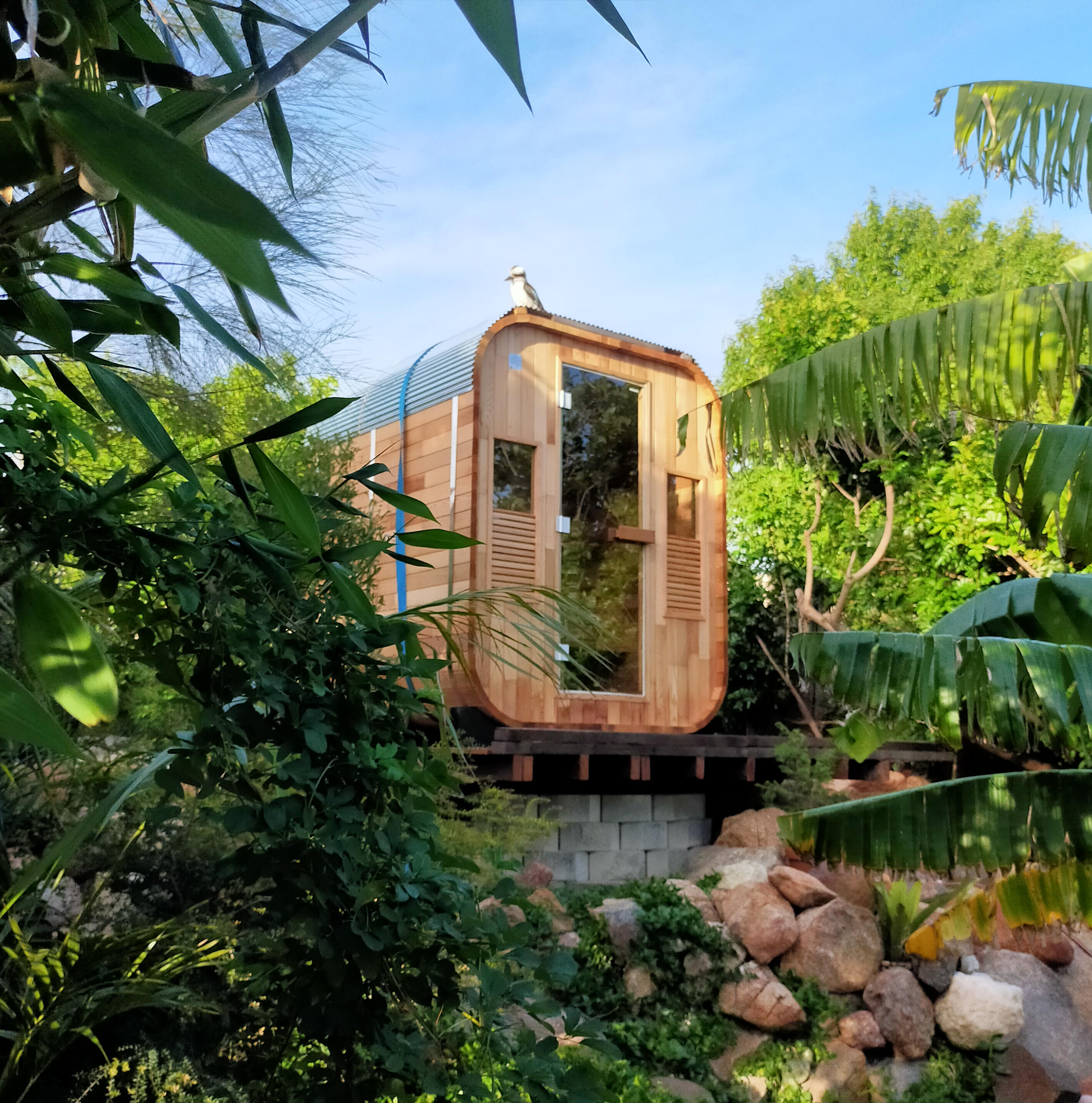 Lush tropical foliage